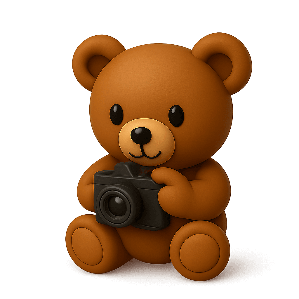 Capture the Hero